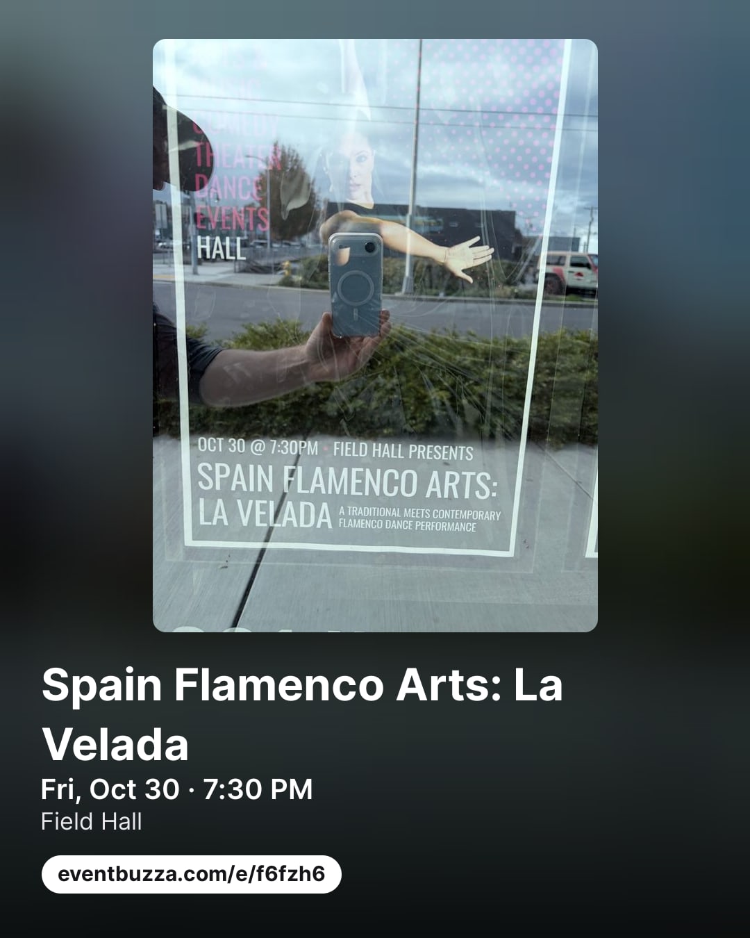 Post picture for SPAIN FLAMENCO ARTS: LA VELADA