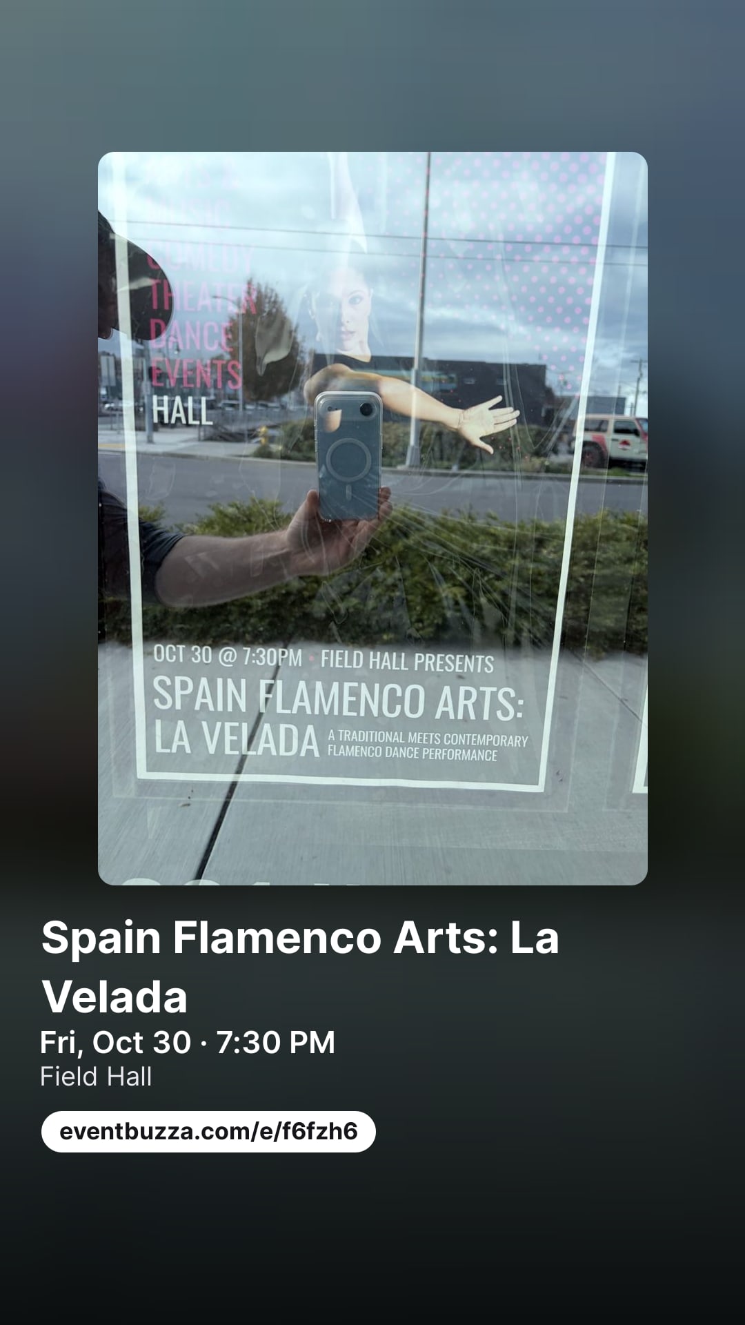 Story picture for SPAIN FLAMENCO ARTS: LA VELADA