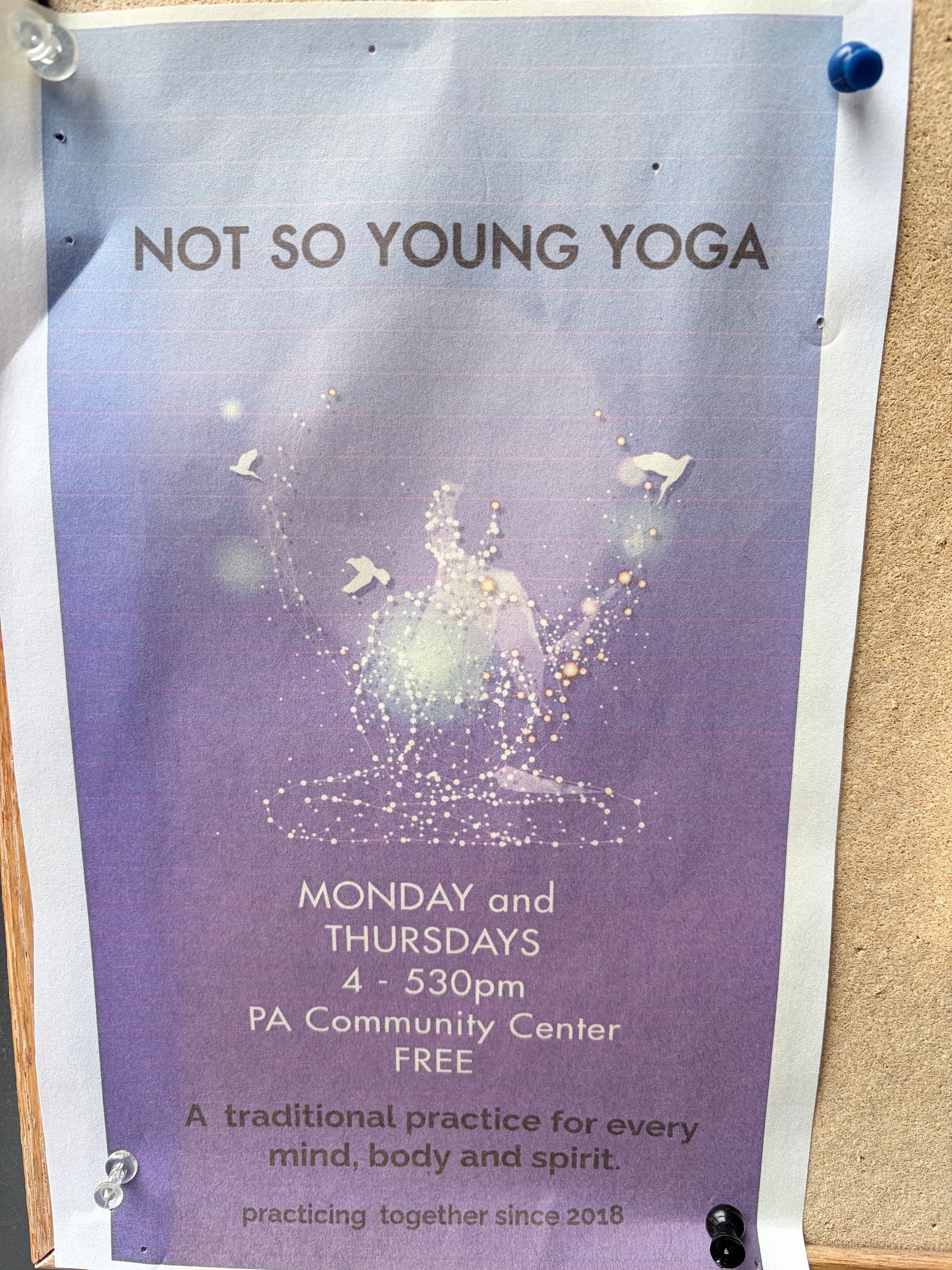 Flyer for NOT SO YOUNG YOGA